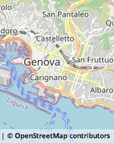 Pelliccerie,16139Genova