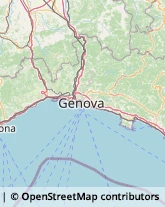 Bingo,16035Genova