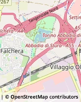 Via degli Abeti, 20,10156Torino