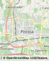 Viale Adua, 239/e,51100Pistoia