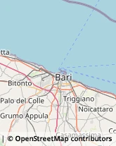 Bingo,70010Bari