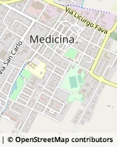 Via Argentesi, 7,40059Medicina