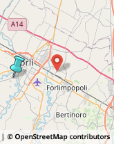 Impianti Sportivi,47100Forlì-Cesena