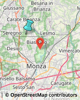 Aziende Agricole,20847Monza e Brianza