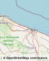 Maglieria - Produzione,70124Bari