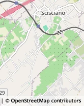 Via Palazzuolo, 213/A,80030Scisciano