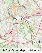 Via Leccosa, 43,00186Roma