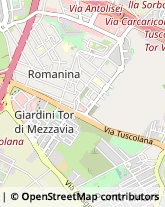 Frutta e Verdura - Dettaglio,00173Roma