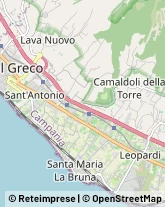 Ortofrutticoltura,80059Napoli