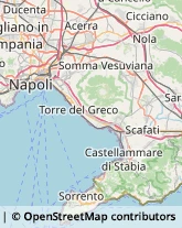 Ortofrutticoltura,80044Napoli