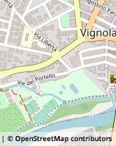 Via Antonio Tavoni, 53,41058Vignola