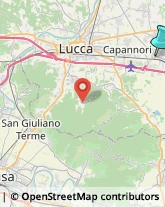 Impianti Idraulici e Termoidraulici,55016Lucca