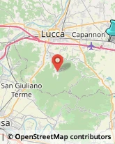 Impianti Idraulici e Termoidraulici,55016Lucca