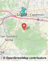 Agenzie Immobiliari,55100Lucca