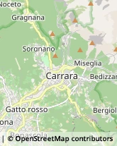 Erboristerie,54033Massa-Carrara