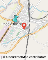 Scuole Pubbliche,46025Mantova