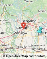 Pollame, Conigli e Selvaggina - Dettaglio,24050Bergamo