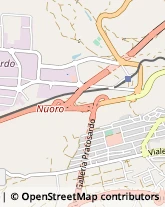 Via delle Magnolie, 25,08100Nuoro