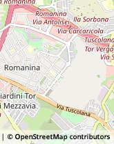 Via del Ponte delle Sette Miglia, 50,00173Roma