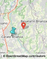 Pizzerie,20841Monza e Brianza