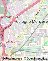 Via Volontari del Sangue, 4,20093Cologno Monzese