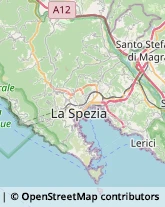 Ambulatori e Consultori,19021La Spezia