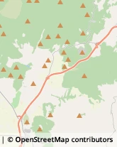 Strada Vicinale Ruderi, 1,58100Grosseto