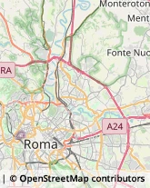 Via Alessandria, 160,00198Roma