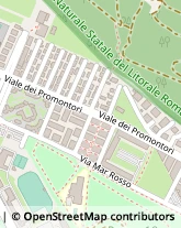 Viale dei Promontori, 310,00122Roma