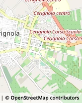 Via Assisi, 22,71042Cerignola