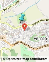 Palestre e Centri Fitness,63900Fermo