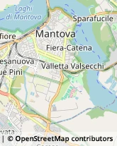 Naturopatia,46100Mantova