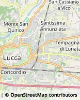 Istituti di Bellezza,55100Lucca