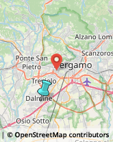 Feste - Organizzazione e Servizi,24044Bergamo