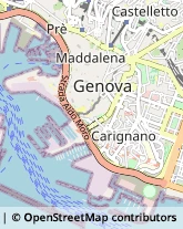 Via Eugenia Ravasco, 4-1,16128Genova