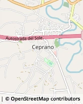 Via Vittorio Alfieri, 44,03024Ceprano