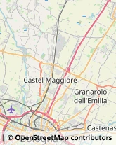 Via Nicolò dall'Arca, 14,40129Bologna