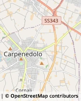 Località Taglie, 4,25013Carpenedolo