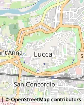 Via S. Nicolao, 65,55100Lucca