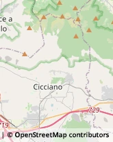 Via Tavernanova, 13,80033Cicciano