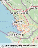 Miele,34149Trieste