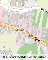 Via di Tiglio, 1369/I,55100Lucca