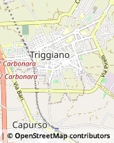 Via Virgilio, 171/C,70019Triggiano