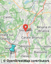 Articoli Sportivi - Dettaglio,20811Monza e Brianza