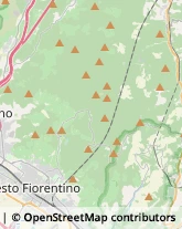 Largo Valiversi, 126/A,50019Sesto Fiorentino