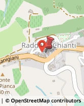 Via Roma, 33,53017Radda in Chianti