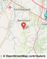 Ortofrutticoltura,47023Forlì-Cesena