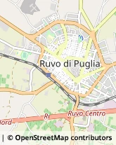 Via Giovanni Paisiello, 11,70037Ruvo di Puglia