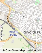 Via Antonio Vivaldi, 1/E,70037Ruvo di Puglia