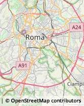 Via Leccosa, 43,00186Roma